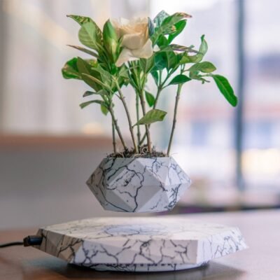 1c805e37-61cc-457d-bef5-de088db4f788.jpg Marble-Style Levitating Plant