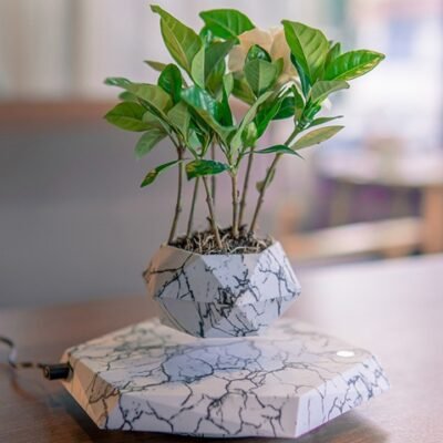 2402040316400324900.jpg Marble-Style Levitating Plant