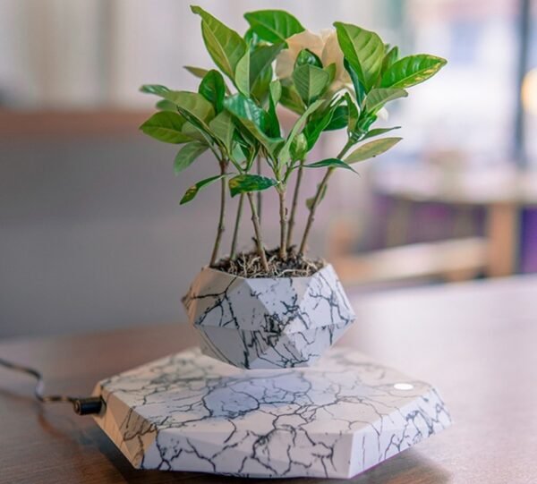 Marble-Style Levitating Plant