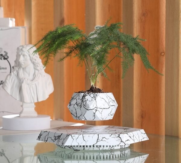 2402040316400325500.jpg Marble-Style Levitating Plant