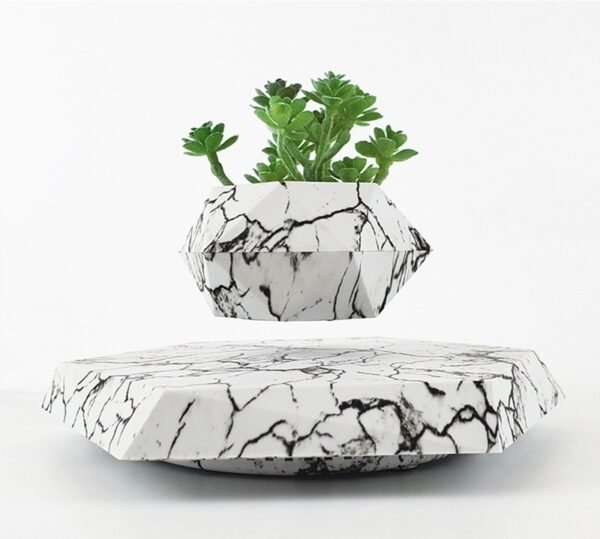 2402040316400325900.jpg Marble-Style Levitating Plant
