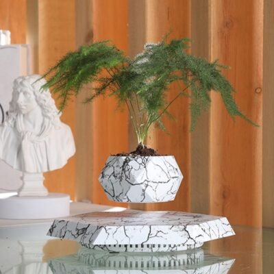 9cd6a998-a4d7-45ff-a25f-8f3e812776a1.jpg Marble-Style Levitating Plant