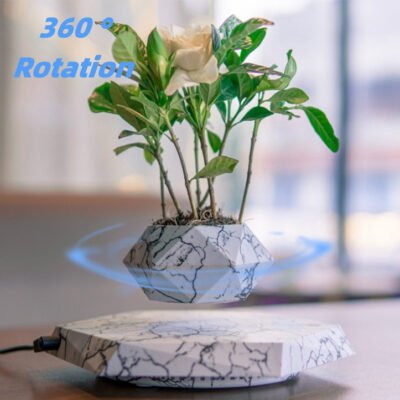 9e8ac413-f3e3-4d28-a1a4-39c0c6cff2da.jpg Marble-Style Levitating Plant