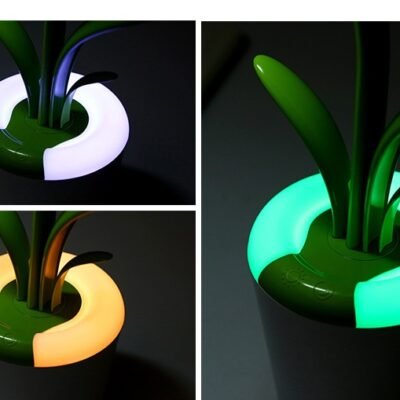 1834180727875.jpg LED Desk Lamp