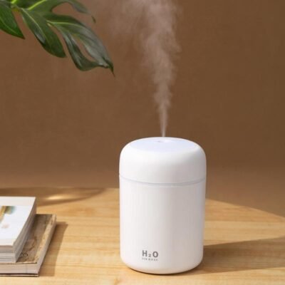 USB Mini Humidifier